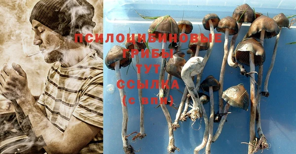 тгк Медвежьегорск