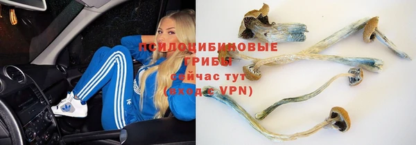 кокаин перу Михайлов