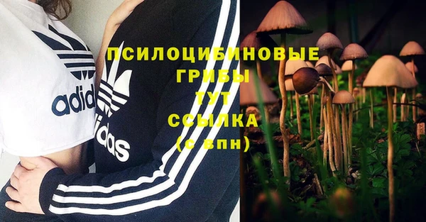 кокс Мегион