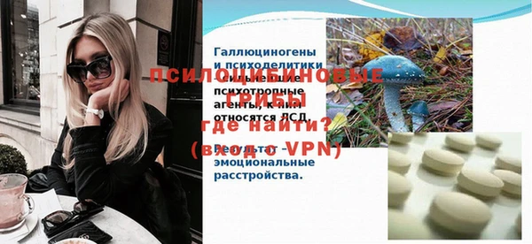 молекула духа Медногорск