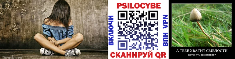 как найти закладки  Ярославль  Галлюциногенные грибы Cubensis 