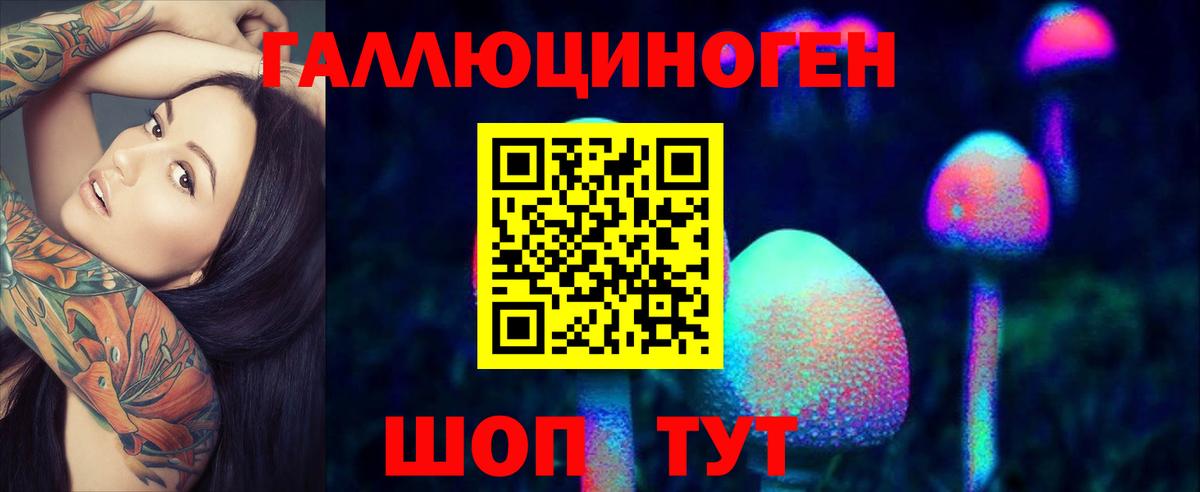 Псилоцибиновые грибы мухоморы Ярославль